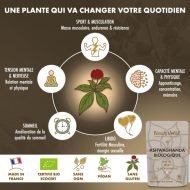 Ashwagandha Biologique KSM-66® – Stress, Sommeil & Vitalité – 90 gélules – Image 3